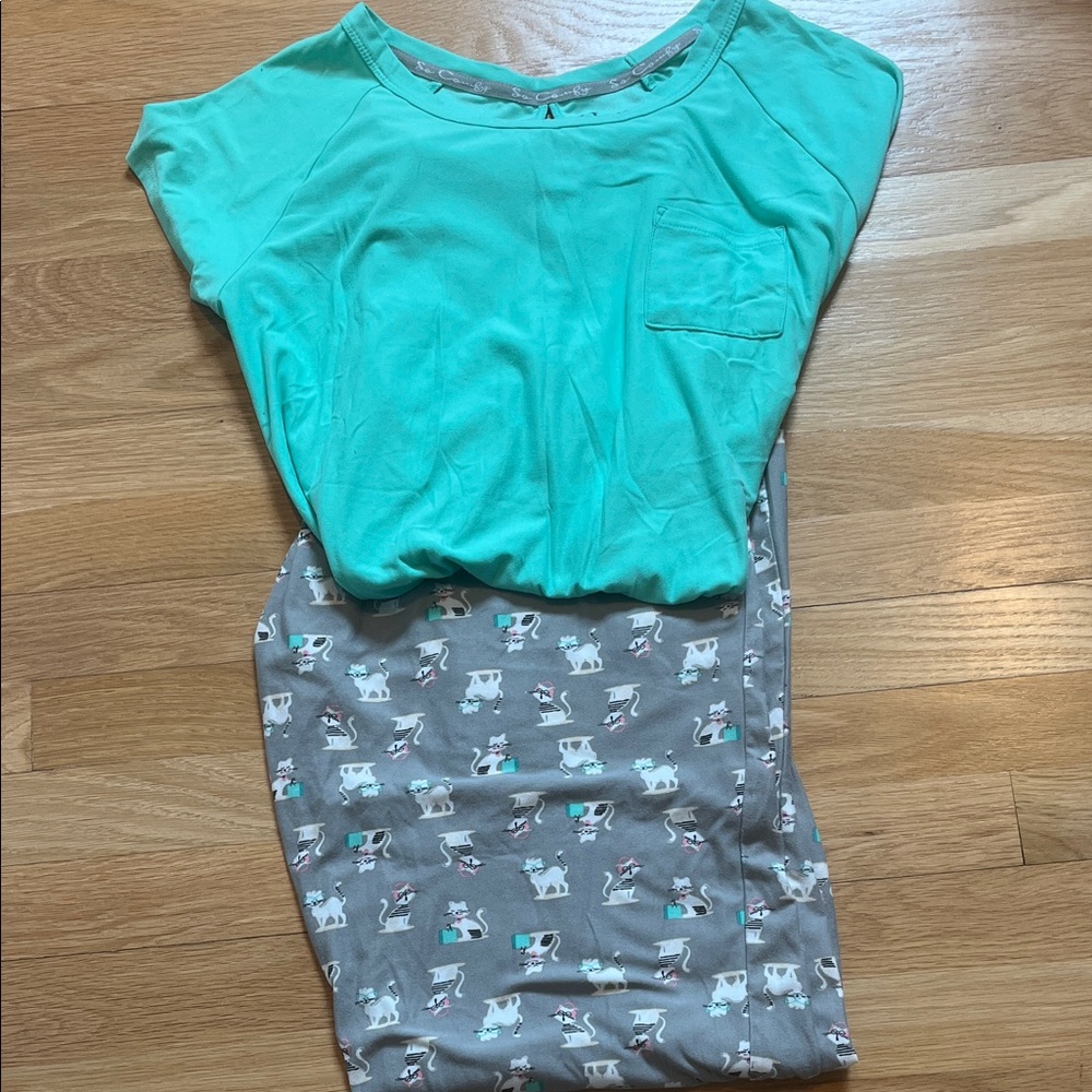 Hanes Women's Mint Green Top & Gray Printed Pajama Set